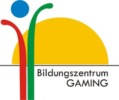 Logo LFS Gaming